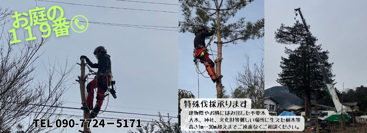 お庭の119番　特殊伐採承ります