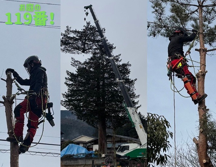 お庭の119番　特殊伐採承ります